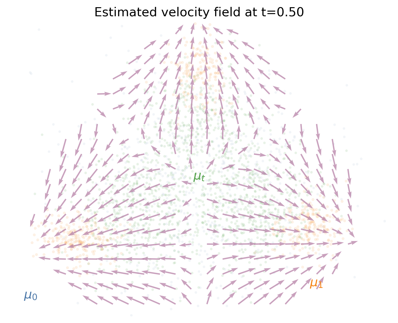Estimated velocity field for the linear path